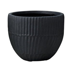 Aؔ  FV/tB{ESB/GF5099y01z K[fjOE|pi t[|bg OXt@Co[