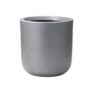 Aؔ  FV/Ju[YX^hSGY/GF5082y01z K[fjOE|pi t[|bg OXt@Co[