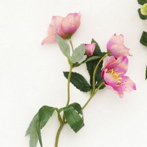 yԁz{uNtg/24003P NX}X[YP/24003Py01z[3] ԁiA[eBtBVt[j  ԍށusv NX}X[Y