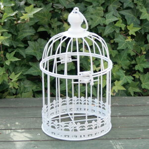 哯Ntg/24o[hP[W S zCg/ABG24-R10y01z[4] X܃fBXvCEX X܃CeAEG (o[hQ[W)