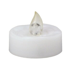 GREENHOUSE/LEDCgLh /3642y01z[12] X܃fBXvCEX NX}XfBXvC Xm[h[ELED