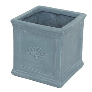 cY/XNGA|bgtHXg6NaturalBlue/3762y07z K[fjOE|pi AؔEt[|bg Zg