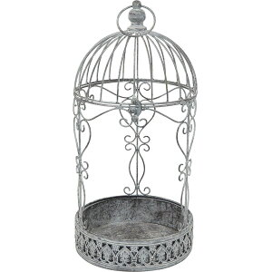 cY/t[P[WL/6155y07z X܃fBXvCEX X܃CeAEG (o[hQ[W)