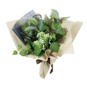 yԁzYDM/MtgO[u[PL-02 GR/FBCD-7006y01z ԁiA[eBtBVt[j ԃMtg t[AW