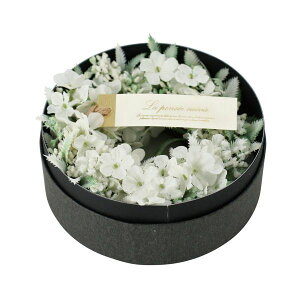 yԁzYDM/Mtgt[[X{bNX-01 W/FBCD-7009y01z ԁiA[eBtBVt[j ԃMtg t[AW