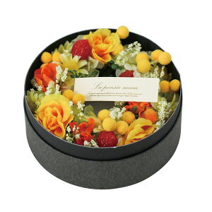 yԁzYDM/Mtgt[[X{bNX-02 Y/FBCD-7010y01z ԁiA[eBtBVt[j ԃMtg t[AW