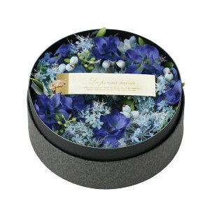 yԁzYDM/Mtgt[[X{bNX-04 LAV/FBCD-7012y01z ԁiA[eBtBVt[j ԃMtg t[AW