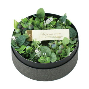 yԁzYDM/MtgO[[X{bNX-01 GR/FBCD-7013y01z ԁiA[eBtBVt[j ԃMtg t[AW