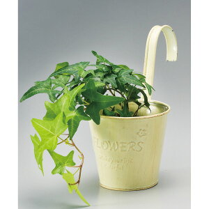 Aؔ  GC`c[I[/Jg[oXPbgnMOS zCg/H281y01z[12] K[fjOE|pi t[|bg ACAEuL