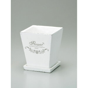 Aؔ  GC`c[I[/tOhXNGA|bgM/H1649y01z[4] K[fjOE|pi t[|bg EZ~bN