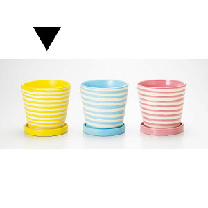 Aؔ  GC`c[I[/pXezxS CG[/H1662y01z[6] K[fjOE|pi t[|bg EZ~bN