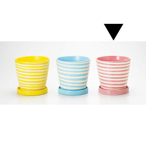 Aؔ  GC`c[I[/pXezxS sN/H1666y01z[6] K[fjOE|pi t[|bg EZ~bN