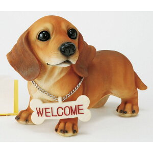 �G�C�`�c�[�I�[/�v���e�B�E�F���J���h�b�N �_�b�N�X��/H2631�y01�z[2��] �K�[�f�j���O�E���|�p�i �K�[�f�j���O�G�݁E�I�[�i�����g �u���E�I�[�i�����g �K�[�f���I�[�i�����g�G�� �Y�� �f�B�X