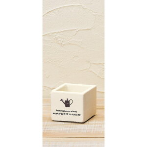 Aؔ  GC`c[I[/ZO|bg XNGASSS/HT6205y01z[9] K[fjOE|pi t[|bg Zg