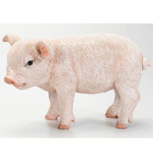 GC`c[I[/qԂ/HT7258y01z[2] K[fjOE|pi K[fjOG݁EI[ig uEI[ig