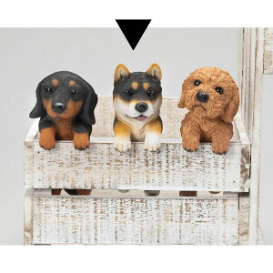 GC`c[I[/~jnMO /HT7279y01z[2] K[fjOE|pi K[fjOG݁EI[ig uEI[ig