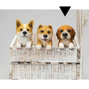 GC`c[I[/~jnMO r[O/HT7283y01z[2] K[fjOE|pi K[fjOG݁EI[ig uEI[ig