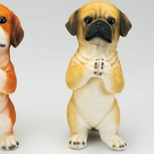 GC`c[I[/肢hbNL pO/HT7363y01z[2] K[fjOE|pi K[fjOG݁EI[ig uEI[ig