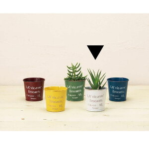 Aؔ  GC`c[I[/uL|bgSS zCg/HT7406y01z[6] K[fjOE|pi t[|bg ACAEuL