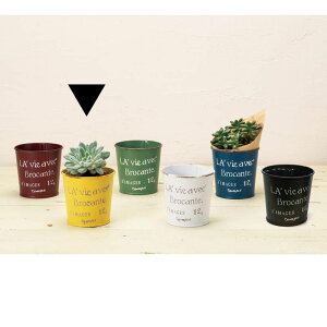 Aؔ  GC`c[I[/uL|bgS CG[/HT7409y01z[6] K[fjOE|pi t[|bg ACAEuL