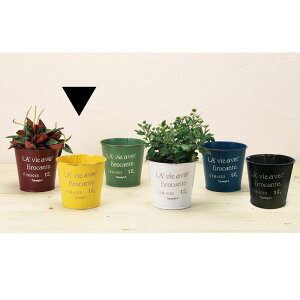 Aؔ  GC`c[I[/uL|bgM CG[/HT7414y01z[6] K[fjOE|pi t[|bg ACAEuL