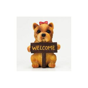 GC`c[I[/EFJ{[hhbN [NVeA/H9265y01z[3] K[fjOE|pi K[fjOG݁EI[ig uEI[ig