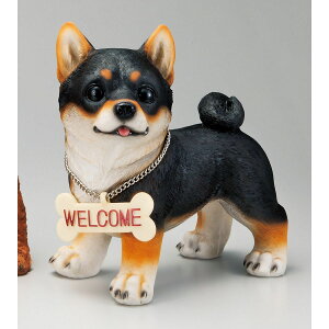 GC`c[I[/EFJhbN /H9280y01z[2] K[fjOE|pi K[fjOG݁EI[ig uEI[ig