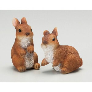 GC`c[I[/X̒Ԃ SS/H9312y01z[24] K[fjOE|pi K[fjOG݁EI[ig uEI[ig