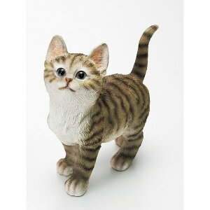 GC`c[I[/qLuS/H9591y01z[3] K[fjOE|pi K[fjOG݁EI[ig uEI[ig