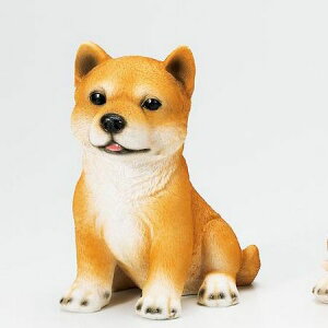 GC`c[I[/hbNnEXMtg Č/H9684y01z[3] K[fjOE|pi K[fjOG݁EI[ig uEI[ig