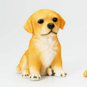 GC`c[I[/hbNnEXMtg go[/H9687y01z[3] K[fjOE|pi K[fjOG݁EI[ig uEI[ig