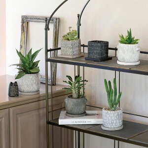 Aؔ  GC`c[I[/t@N`|bg XNGASS O^/HH30459y01z[2] K[fjOE|pi t[|bg Zg