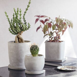 Aؔ  GC`c[I[/Zg|bg XNGAL/HH30585y01z K[fjOE|pi t[|bg Zg