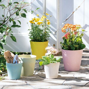 GC`c[I[/ou[t@Co[|bg }Ju[/HH30427y01z[4] K[fjOE|pi AؔEt[|bg GR|bg