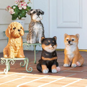 GC`c[I[/u[hbN /HH30396y01z K[fjOE|pi K[fjOG݁EI[ig uEI[ig