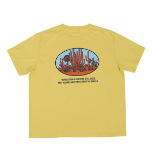 �_���g��/BOTANY T-SHIRT SAGUARO M/MS [PX]/T23-0653M/MS�y08�z �X�܃f�B�X�v���C�E�X������ �G�� �t�@�b�V���������C���e���A�G�� ����t�� ������� �o���̓�