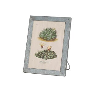 �_���g��/GALVANIZED FRAME STAND A4/RN-0400-A4�y08�z �X�܃f�B�X�v���C�E�X������ �Ǌ|���E�E�H�[���f�R �E�H�[���A�[�g�E�s�N�`���[�C���e���A�G�� ����t�� �������
