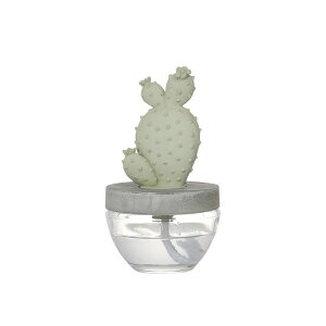 _g/CACTUS FRAGRANCE DIFFUSER A E.PEONY/G675-824A-EPy08z [hfBt[U[ i