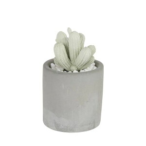 _g/CACTUS FRAGRANCE DIFFUSER S.FLOWER/G875-959-SFy08z A}Xg[ i