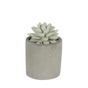 _g/LITTLE GEM FRAGRANCE DIFFUSER W.LILY/G875-959-WLy08z A}Xg[ i