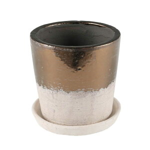 �A�ؔ� ������� �_���g��/TERRACOTTA BICOLOR POT M/G20-0195M�y08�z �K�[�f�j���O�E���|�p�i �t�����[�|�b�g �e���R�b�^(�f�Ă�)