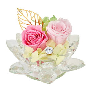 yvU[uhz@() #2 sN/ZY000403-002y01z vU[uht[ vU[uht[Mtg ԁidEj