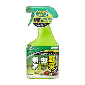 ZFw|/K[fhN^[ xjJO[VXv[ 420ml/0111067y01z K[fjOE|pi 엿A_ E