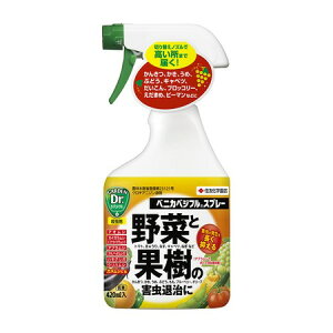 ZFw|/xjJxWtXv[ 420ml/0213297y01z K[fjOE|pi 엿A_ E