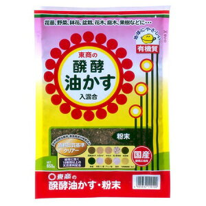 /V   650g/1110016y01z K[fjOE|pi 엿A_ |엿