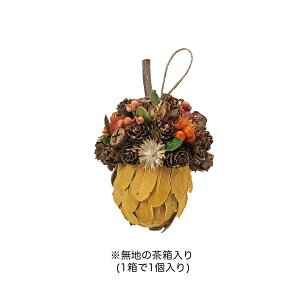 yΖӃZ[zGREENHOUSE/HWi`fR[V IWǂ񂮂/HW657y01z[2] X܃fBXvCEX nEBfBXvC uEIuWF