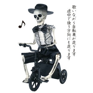 GREENHOUSE/HWz[V[Y KCRcTCNO/HW674y01z X܃fBXvCEX nEBfBXvC uEIuWF