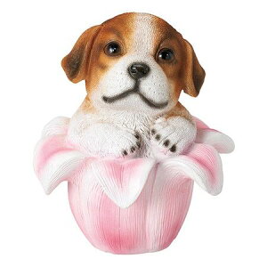 zr[/u[hbO/GM-5488y01z[2] K[fjOE|pi K[fjOG݁EI[ig uEI[ig