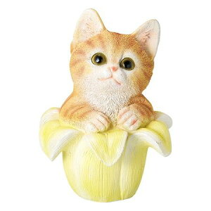 zr[/u[Lbg/GM-5489y01z[2] K[fjOE|pi K[fjOG݁EI[ig uEI[ig