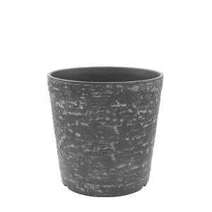 CARNAC/I[W[vc|bg01|BK ubN/FC042BKy01z K[fjOE|pi AؔEt[|bg 